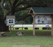 Spruce Creek, das Fliegerdorf in Florida: Impressionen rund um "The Tree", den  großen Baum