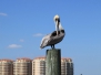 Daytona Beach