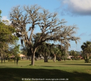 Spruce Creek Fly In Community in Florida im Gelände. Views of Spruce Creek Airpark.