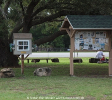 Spruce Creek, das Fliegerdorf in Florida: Impressionen rund um "The Tree", den  großen Baum