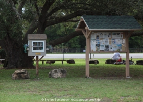 Spruce Creek, das Fliegerdorf in Florida: Impressionen rund um "The Tree", den  großen Baum