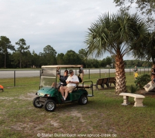 Spruce Creek, das Fliegerdorf in Florida: Impressionen rund um "The Tree", den  großen Baum
