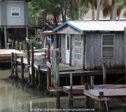 Cedar Key FL Photos IMG_4830