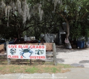 Cedar Key FL Photos IMG_4833