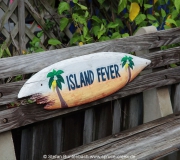 Cedar Key FL Photos IMG_4863
