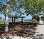 Picknickplatz in Cedar Key.