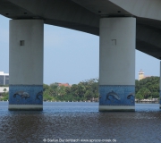Daytona Beach FL IMG_2529
