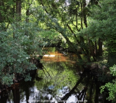 Spruce Creek Fly In Community in Florida im Gelände. Views of Spruce Creek Airpark.