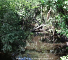 Spruce Creek Fly In Community in Florida im Gelände. Views of Spruce Creek Airpark.