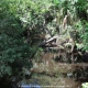 Spruce Creek Fly In Community in Florida im Gelände. Views of Spruce Creek Airpark.