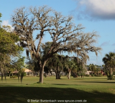 Spruce Creek Fly In Community in Florida im Gelände. Views of Spruce Creek Airpark.
