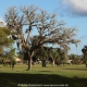 Spruce Creek Fly In Community in Florida im Gelände. Views of Spruce Creek Airpark.