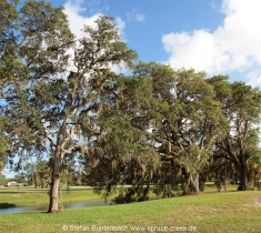 Spruce Creek Fly In Community in Florida im Gelände. Views of Spruce Creek Airpark.