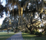 Jekyll Island GA IMG_1559