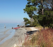 Jekyll Island Georgia IMG_6655