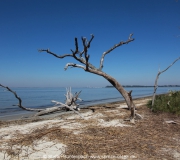 Jekyll Island Georgia IMG_6667