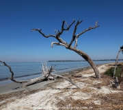 Jekyll Island Georgia IMG_6695