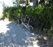 Jekyll Island Georgia IMG_6698
