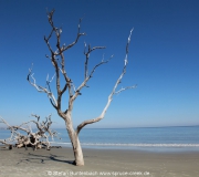 Jekyll Island Georgia IMG_6759