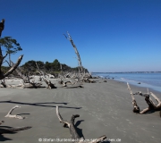 Jekyll Island Georgia IMG_6792