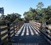 Jekyll Island Georgia IMG_6899