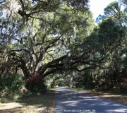 Jekyll Island IMG_6610fl2010