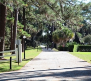 Jekyll Island IMG_6625fl2010