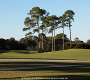 Jekyll Island IMG_6771fl2010