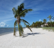 Key West Florida IMG_4518