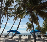 Key West Florida IMG_4538