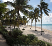 Key West Florida IMG_4646