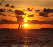Key West Florida IMG_4726