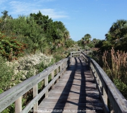 New Smyrna Beach IMG_6006