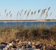 Ponce Inlet FloridaIMG_6990