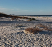 Ponce Inlet FloridaIMG_7044