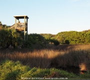 Ponce Inlet FloridaIMG_7049