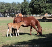 IMG_7607
