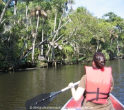 Spruce Creek Photos IMG_1950