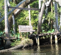 Spruce Creek Photos IMG_1954