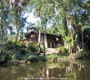 Spruce Creek Photos IMG_1976