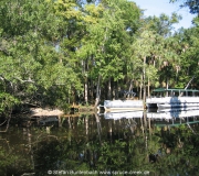 Spruce Creek Photos IMG_1979