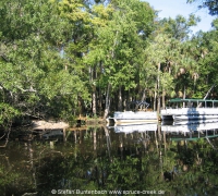 Spruce Creek Photos IMG_1979