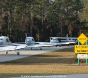 Spruce Creek Photos IMG_5593