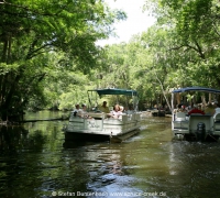 Spruce Creek Photos buntenbach060629_301