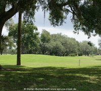 Spruce Creek Photos buntenbach060629_397