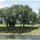 Einblicke in die Spruce Creek Fly In Community in Florida in der Nähe von Daytona Beach. Views of Spruce Creek Fly In Community in Florida near Daytona Beach. Photo: Copyright Stefan Buntenbach www.spruce-creek.net