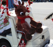 Spruce-Creek-Toyparade-2015- IMG_1119