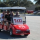 Spruce-Creek-Toyparade-2015- IMG_1138