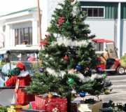Spruce-Creek-Toyparade-2015- IMG_1145