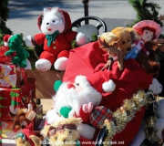 Spruce-Creek-Toyparade-2015- IMG_1174